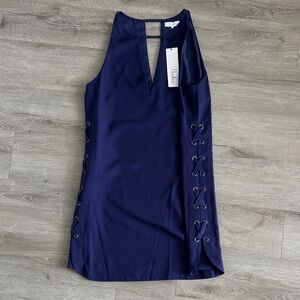 NWT Parker Shift Dress